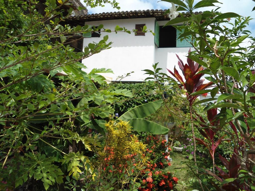 Casa Mirage Pipa , Apartamentos Praia de Pipa 外观 照片